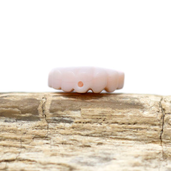 Queen Conch Shell Polished 12x15mm Natural Pink Shell Bead