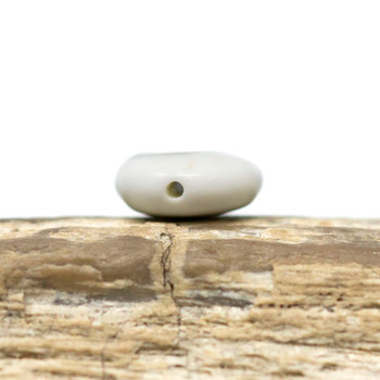 Shiva Eye Shell Polished Double Sided 8mm Puff Coin Bead