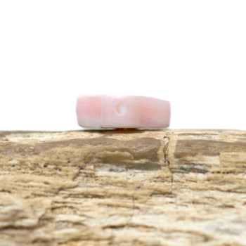 Queen Conch Shell Polished 10mm Natural Pink Clover Bead