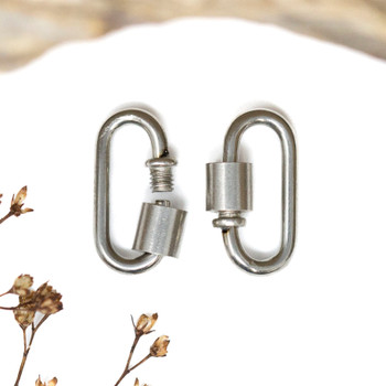 Stainless Steel 19x9mm Bag Carabiner Clasp