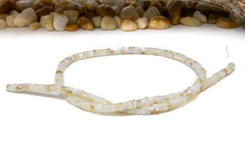 Natural Shell 2x4mm Polished Wheel