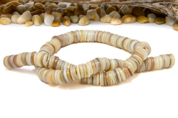 Natural Shell 10mm Polished Heishi