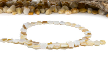 Natural Shell 8mm Polished Flower