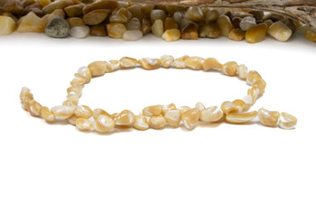 Natural Troca Shell 7-11mm Polished Nugget