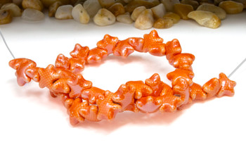 Porcelain Polished 10mm Orange Starfish