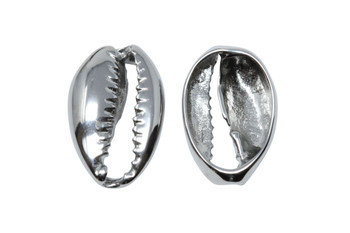 Stainless Steel 12x20mm Cowrie