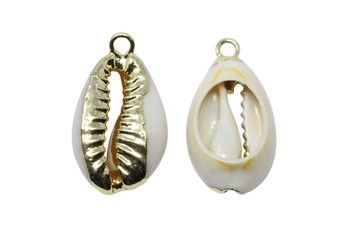 Cowrie Shell 12x22-15x24mm Plated Charm