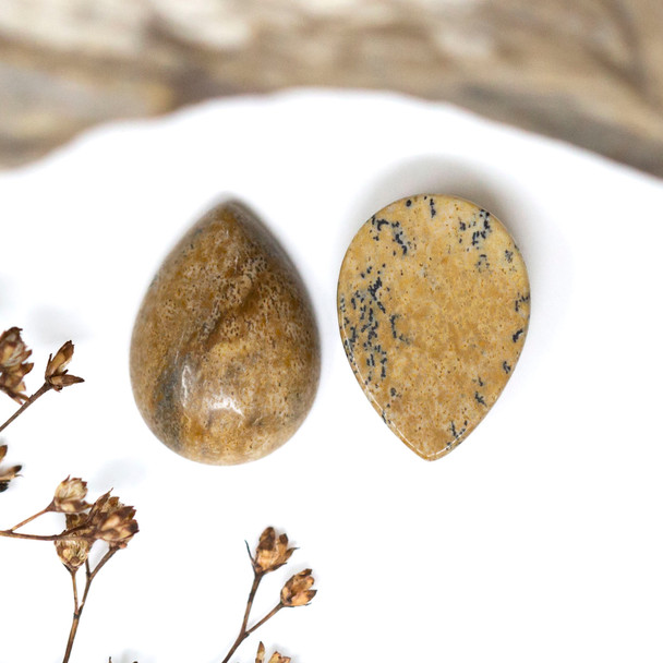 Picture Jasper Polished 13x18mm Drop Cabochon