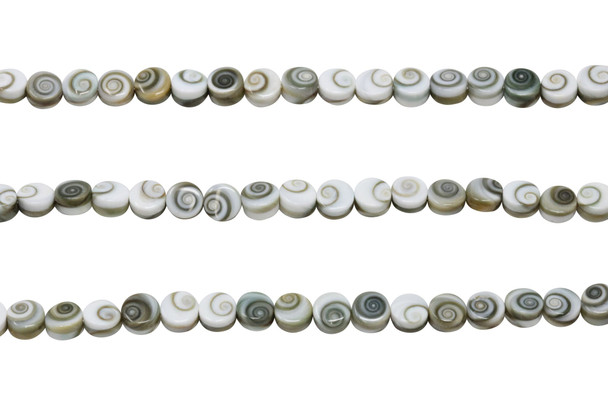 Shiva Eye Shell AAA Grade Polished 6mm Coin - Double Sided