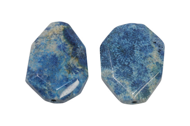 Fossil Coral Agate Polished 33-46mm Faceted Oval