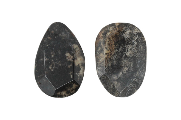 Fossil Coral Agate Polished 34-55mm Faceted Oval Bead