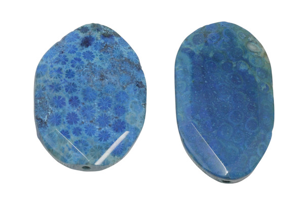 Fossil Coral Agate Polished 54-56x40mm Faceted Oval Bead