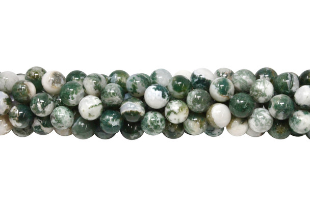 Tree Agate Polished 10mm Round