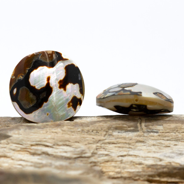 Sarmatieus Shell Polished 20mm Double Sided Coin Bead
