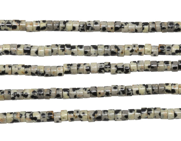 Dalmatian Jasper Polished 2x4mm Wheel