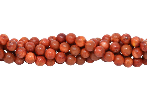 Sponge Coral Polished 8mm Round