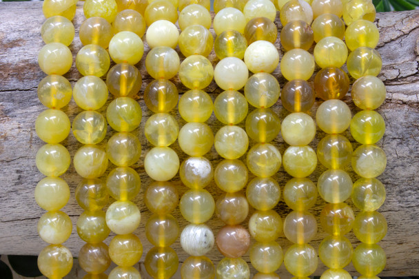 Natural Yellow Opal A Grade Polished 8mm Round