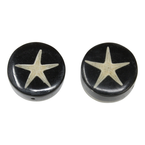Natural Star Fish set in Acrylic 20x9mm Coin