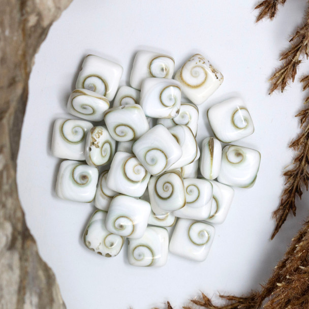 Shiva Eye Shell Polished 10mm Puff Square Double Sided - Sold Individually