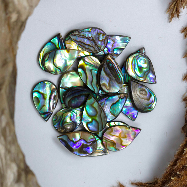 Abalone 10x15mm Drops