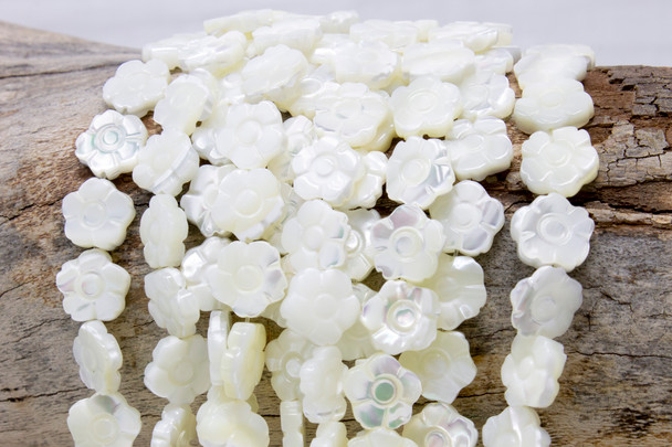 White Sea Shell 10mm Carved Double Sided Flower