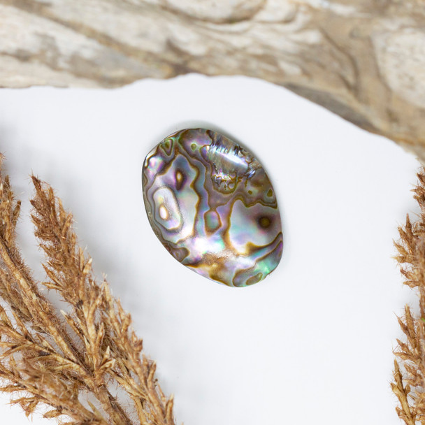 Abalone Shell Approx. 18x28mm