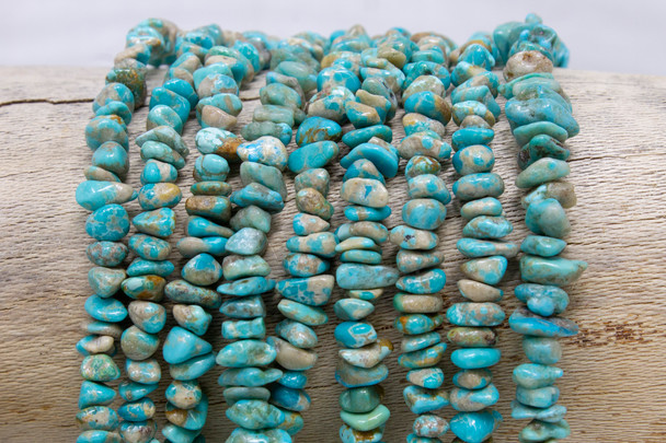 Campitos Turquoise Polished 4-8mm Chips