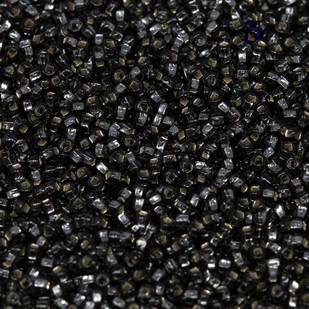 Size 11 Czech Seed Beads -- 30 Black Diamond / Silver Lined