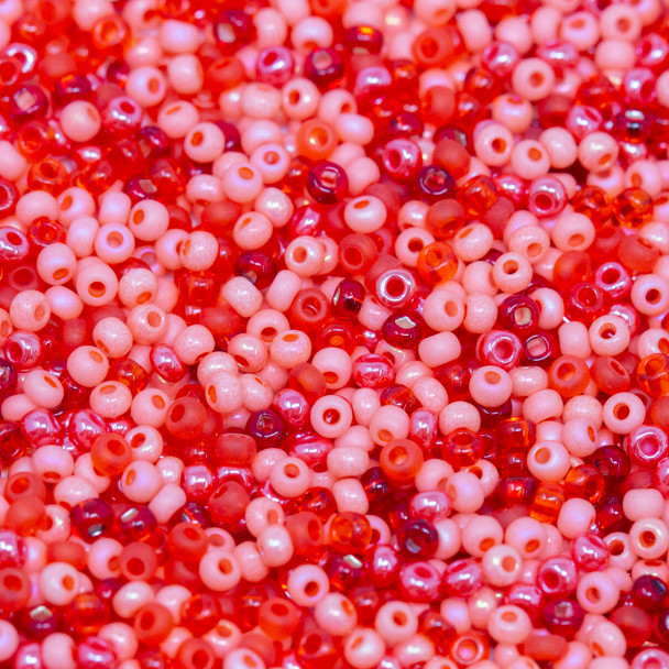 Size 11 Czech Seed Beads -- 1229 Coral Reflections