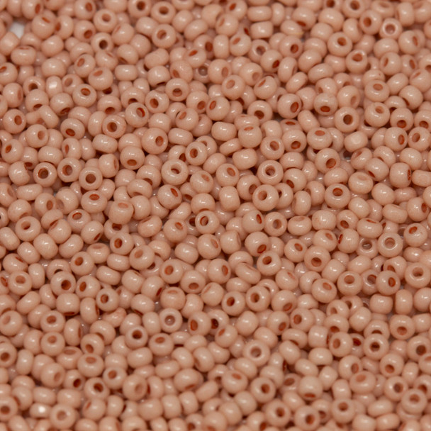 Size 13 Charlotte Seed Beads -- 1351 Cheyenne Pink