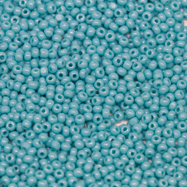 Size 13 Charlotte Seed Beads -- 104 Blue Turquoise