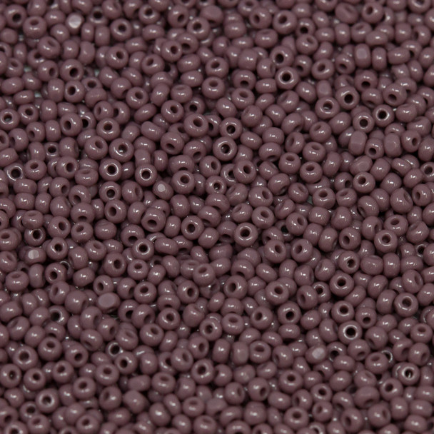 Size 13 Charlotte Seed Beads -- 166 Purple