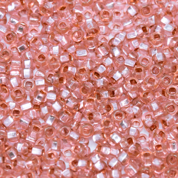 Size 8 Czech Seed Beads -- 1173 Rose / Silver Lined