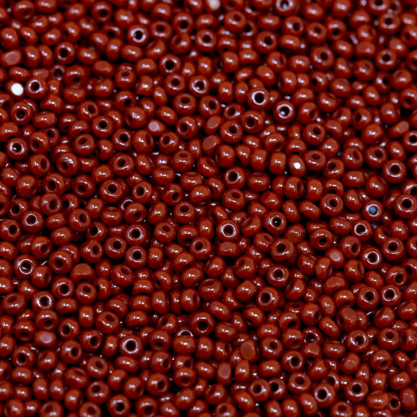 Size 13 Charlotte Seed Beads -- 164 Brown