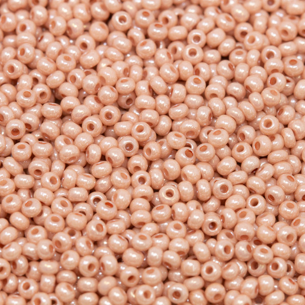 Size 11 Czech Seed Beads --1353 Cheyenne Pink