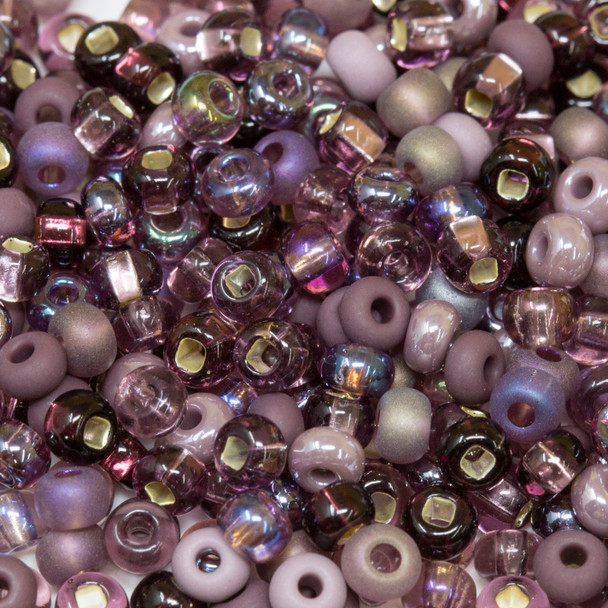 Size 6 Czech Seed Beads -- 1004 Purple Passion