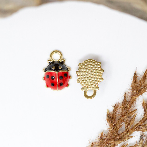 Enamel 12x9mm Gold Ladybug Charm