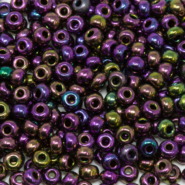 Size 6 Czech Seed Beads -- 170 Purple Iris