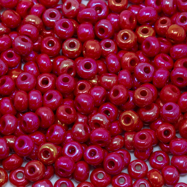 Size 6 Czech Seed Beads -- 445 Red Rainbow