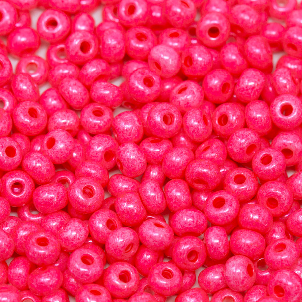 Size 6 Czech Seed Beads -- 1207 Hibiscus