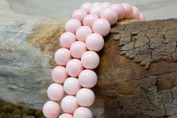 Pink Conch Polished 10mm Round