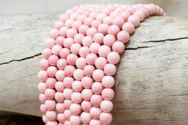 Pink Conch Polished 6mm Round