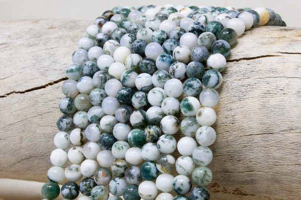 Tree Agate Polished 6mm Round