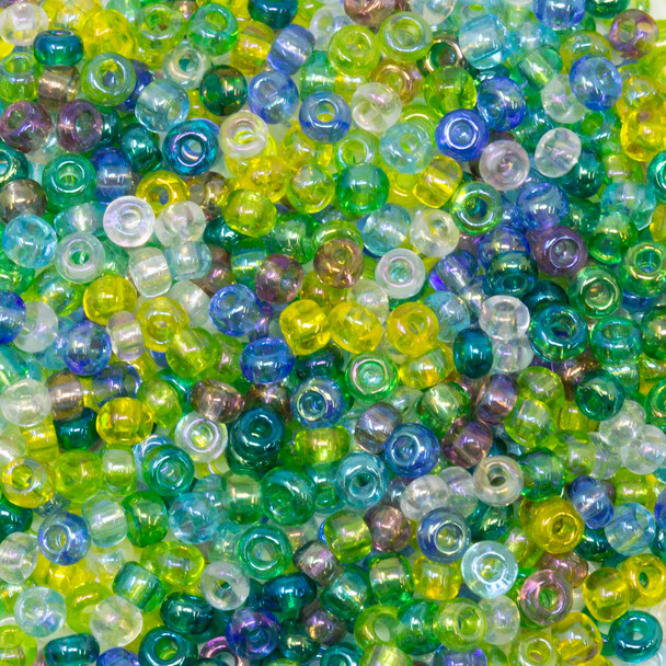 Size 8 Czech Seed Beads -  869 Dutch Florals