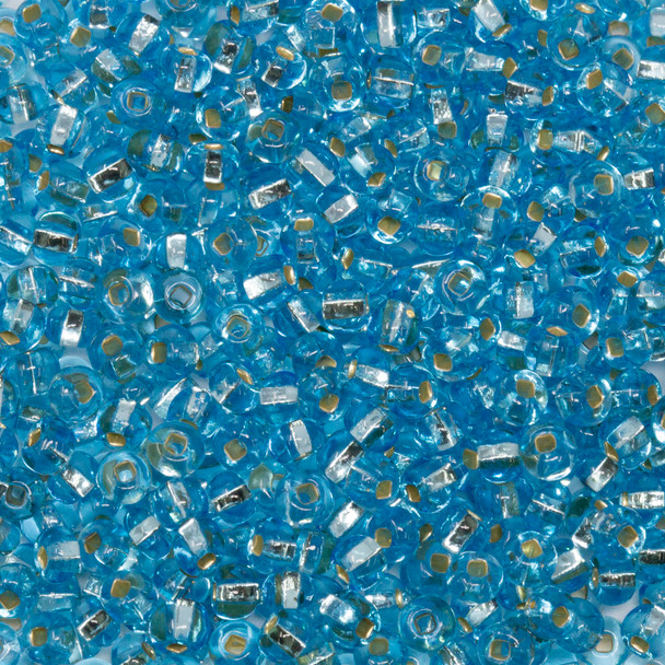 Size 8 Czech Seed Beads -  48 Light Aqua / Silver Lined
