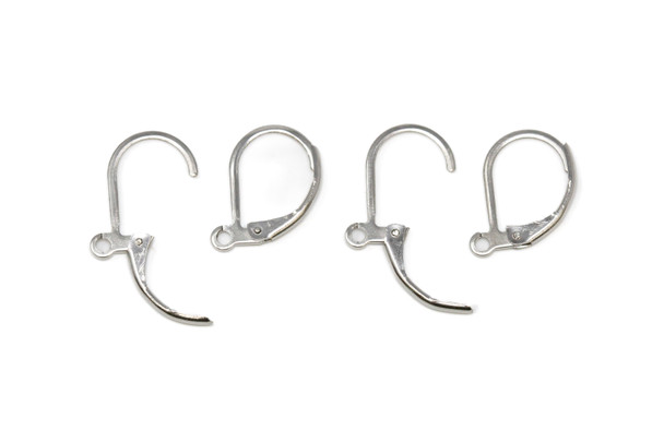 Stainless Steel Leverback Earrings - 2 Pair