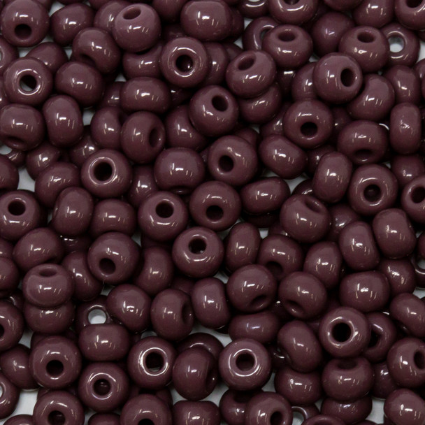 Size 6 Czech Seed Beads -- 166 Purple