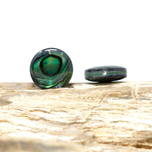 Abalone Polished Dyed Green 12mm Double Sided Coin Bead