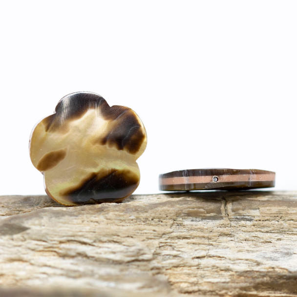 Mother of Pearl Brown Lip Polished 20mm Flower Bead