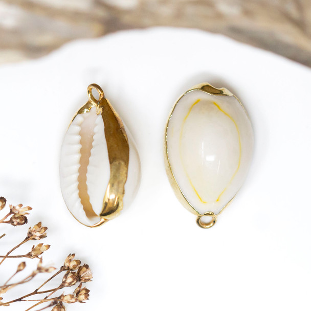 Cowrie Shell Polished 14x24mm Gold Plated Edge Charm